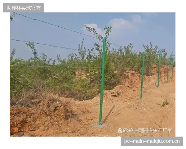 将围栏的长期耐久性纳入LEED认证考量，标志着体育建筑领域对可持续性的认知深化